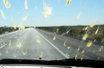 Чем очистить лобовое стекло автомобиля от насекомых