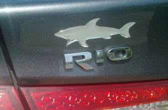 Что означает наклейка акулы на автомобиле