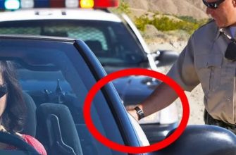 Зачем американские полицейские трогают багажник машины
