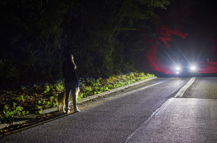 Нужно ли останавливаться на дороге ночью, чтобы помочь незнакомым людям
